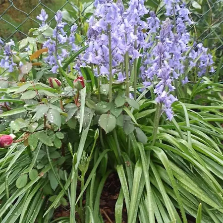 דירה Casa Luis לואינו