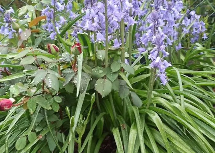 شقة Casa Luis لووِنو